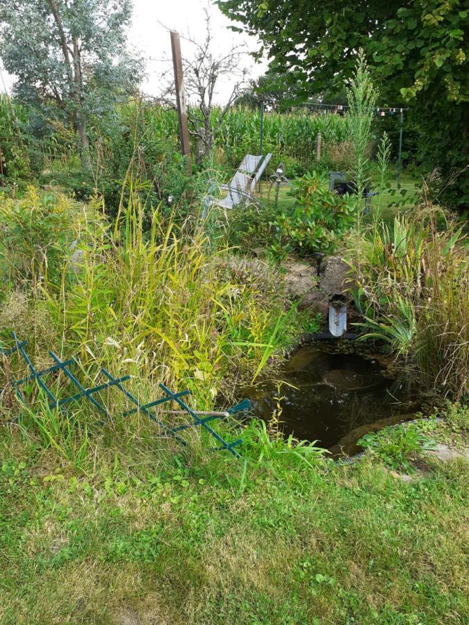 Le Gite Du Hibou Villa Ménil-Hubert-sur-Orne Eksteriør billede